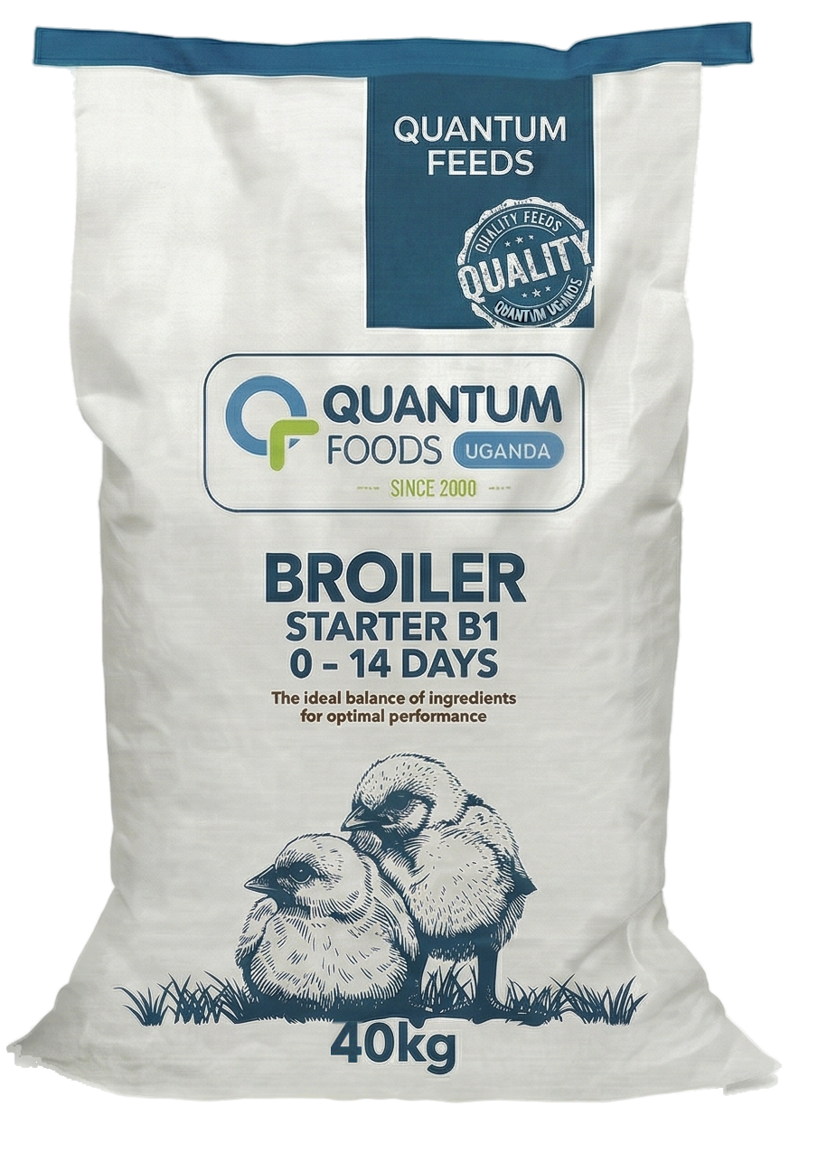 Broiler Starter B1 - 40kg